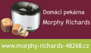 Morphy Richards 48268